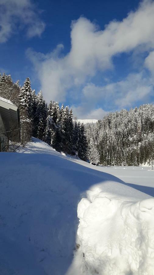 Haus Amade Appartement Wagrain Buitenkant foto